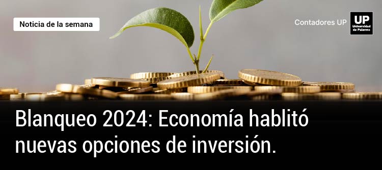   💵📊 Blanqueo 2024: Economía habilitó nuevas opciones de inversión.  